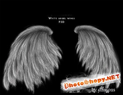 White angel wings psd