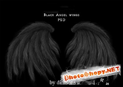 Black angel wings psd