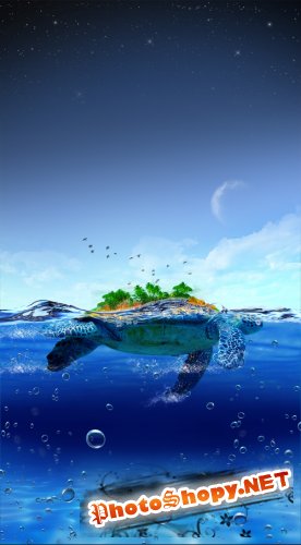 Turtle island Psd