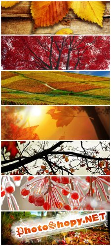 Autumn Cliparts - Autumn time