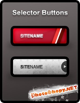 Selector Buttons psd