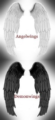 Angel and Demon Wings PSD