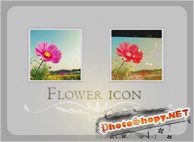 Flower icon Psd