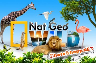 Nat Geo Wild wallpaper psd