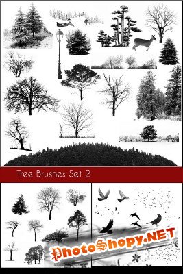 Tree Brushes and bird  Brushes set