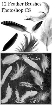 Feathers Brushes Set 1,2