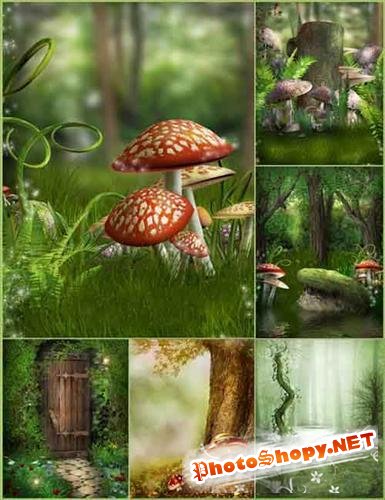 Сказочные фоны с грибами