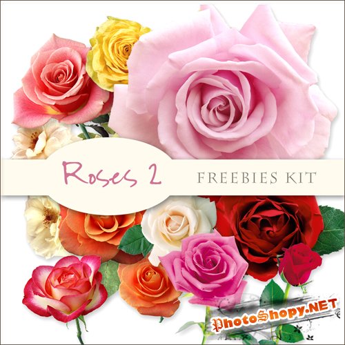 Scrap-kit - Roses Images #2