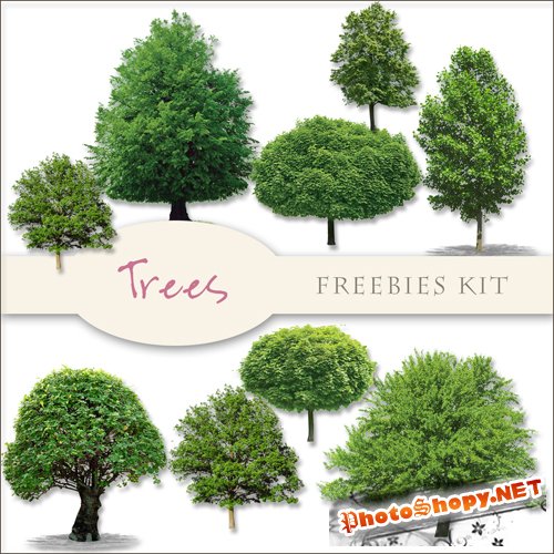 Scrap-kit - Trees Images #1