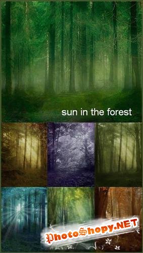 Сказочные фоны - солнце в лесу