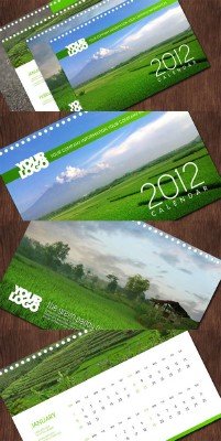 Calendar 2012 - Paddy Field