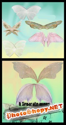 Butterfly wings pack # 2