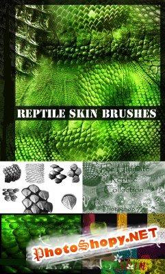 Reptile Skins Brushes pack