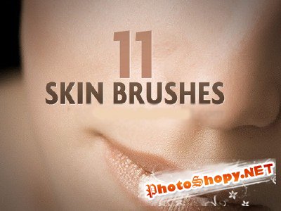 11 Skin brushes