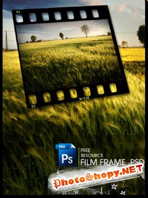 Free Film Frame