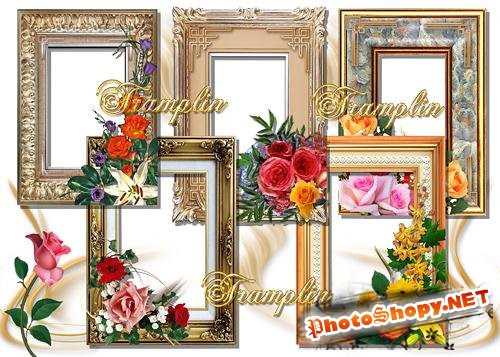 5 Рамок для фото – Цветы и классика