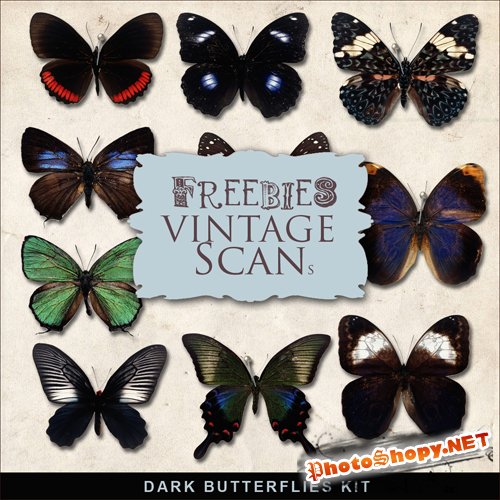 Scrap-kit - Dark Butterflies