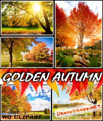 Золотая осень | Golden Autumn Fall (PSD frames)