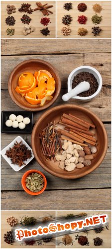 Photo Cliparts - Spices