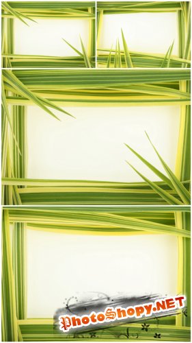Rastr Cliparts - Green frame