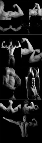 Photo Cliparts - Bodybuilding