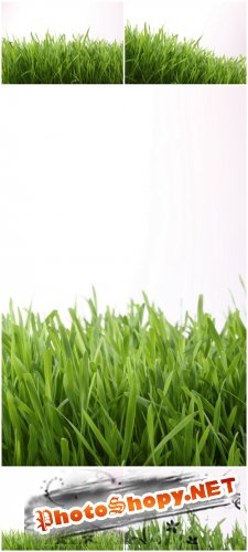 Photo Cliparts - Green grass