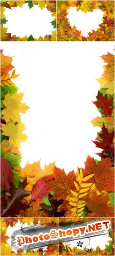Photo Cliparts - Frame autumn leaves