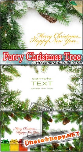 Пушистые Ёлки в Снегу | Furry Christmas Tree (HQ cards)