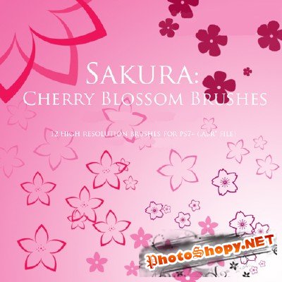 Sakura Cherry Blossom Brushes