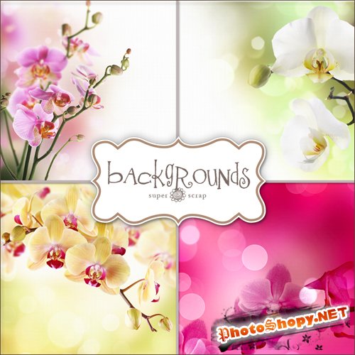 Textures - Orchids Backgrounds