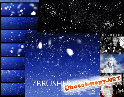 Winter SnowFlake Brushes for PhotoShop