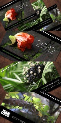 Calendar 2012 - Beautiful Plant