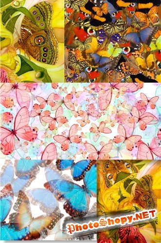 Растровый клипарт - Разноцветные пестрые бабочки