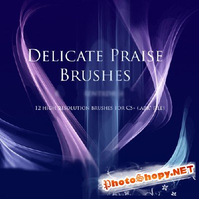 Delicate Praise Brushes