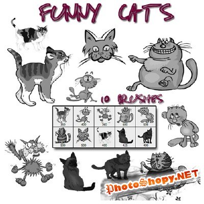 Funny cats brushes