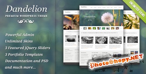 ThemeForest – Dandelion – Powerful Elegant WordPress Theme v2.6.7 for WordPress
