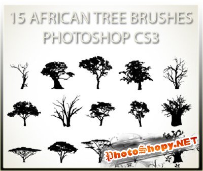 15 African Tree Brushes