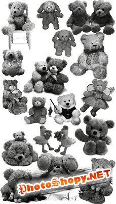 Teddy bear brushes