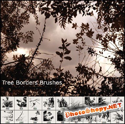 Tree borders brushes