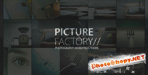 ThemeForest - Picture Factory - Photography Portfolio WP Theme