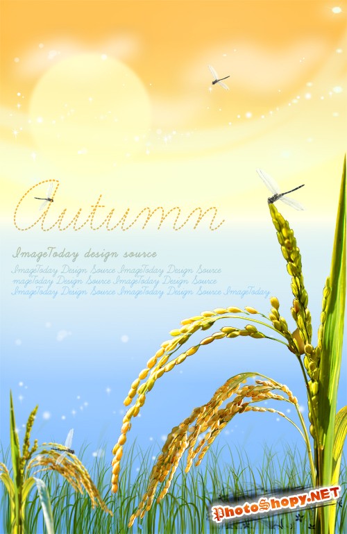 Golden autumn grain rice PSD layered material