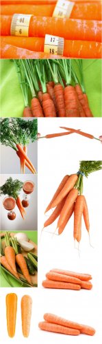 Photo Cliparts - Carrot