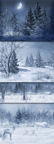Winter Backgrounds by Olga Bor