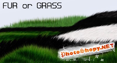 Grass or Fur brushes for Photoshop