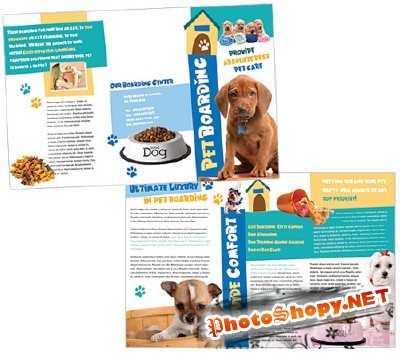 Templates for Design - Posh Pet Place Brochure 11 x 8.5 BoxedArt 