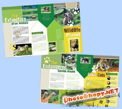 Templates for Design - World Creatures Brochure 11 x 8.5 BoxedArt