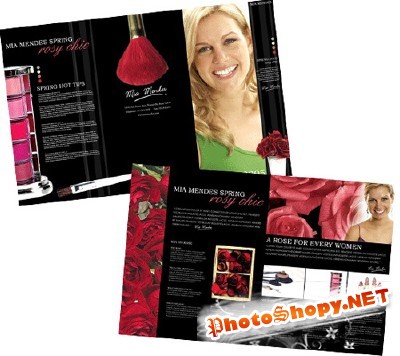 Templates for Design - The Fresh Look Brochure 11 x 8.5 BoxedArt
