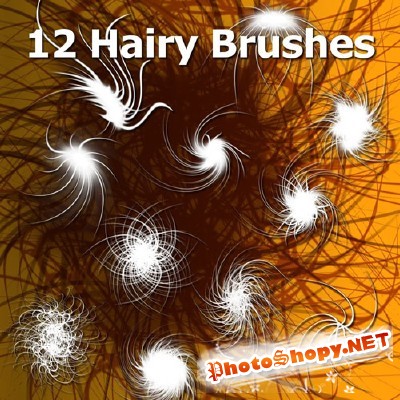 12 hairy brushes