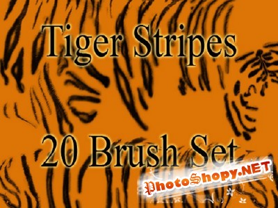 Tiger Stripes Brush Set