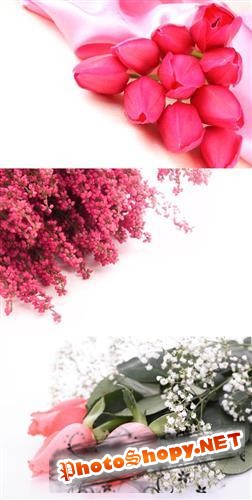 Цветочные фоны - тюльпаны и розы